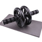 AB Power Wheels Roller Plus Push-up Bars